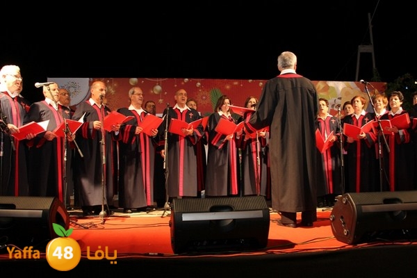 tree light 1208 (119).JPG